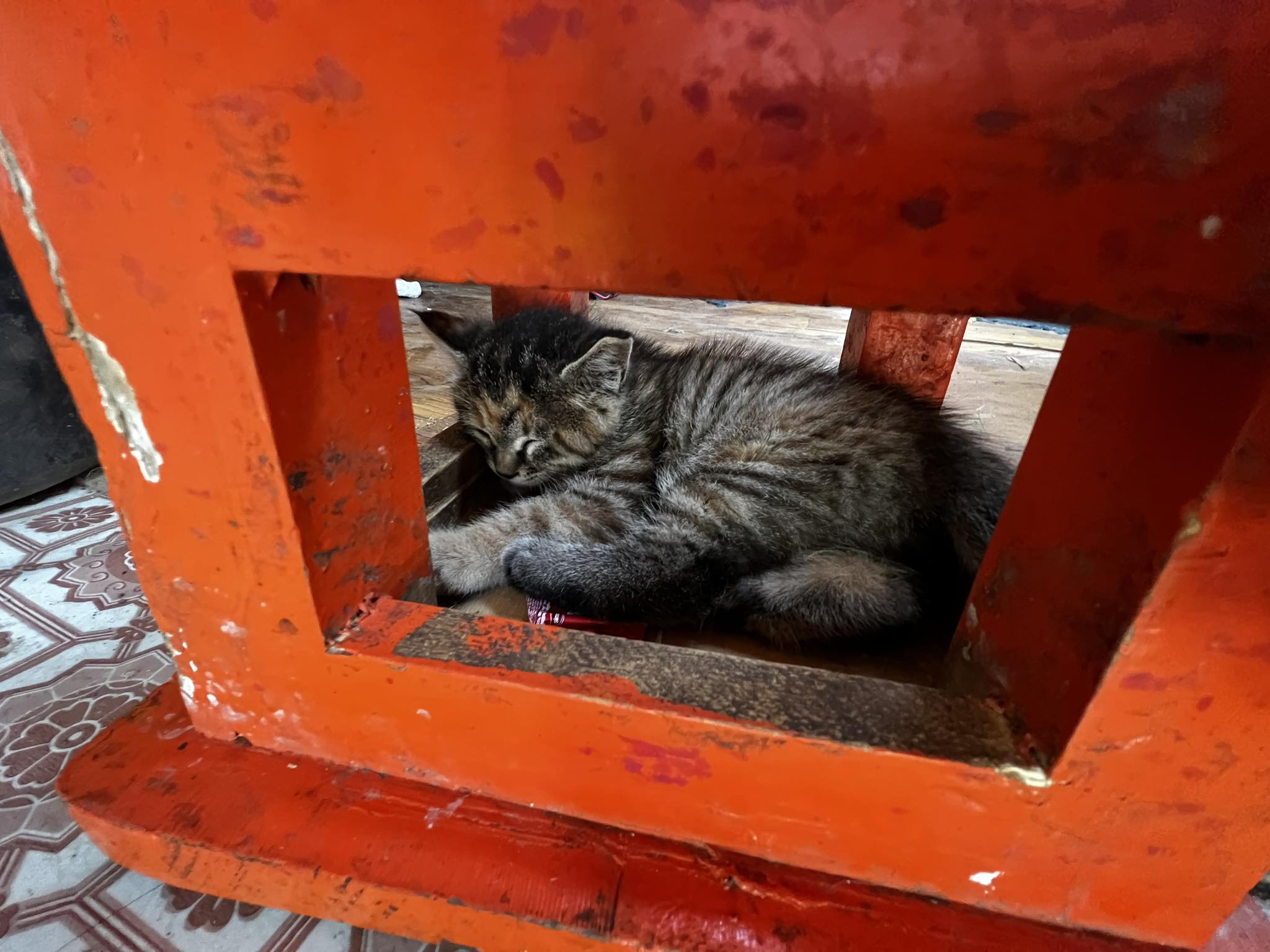 Countryside slideshow image